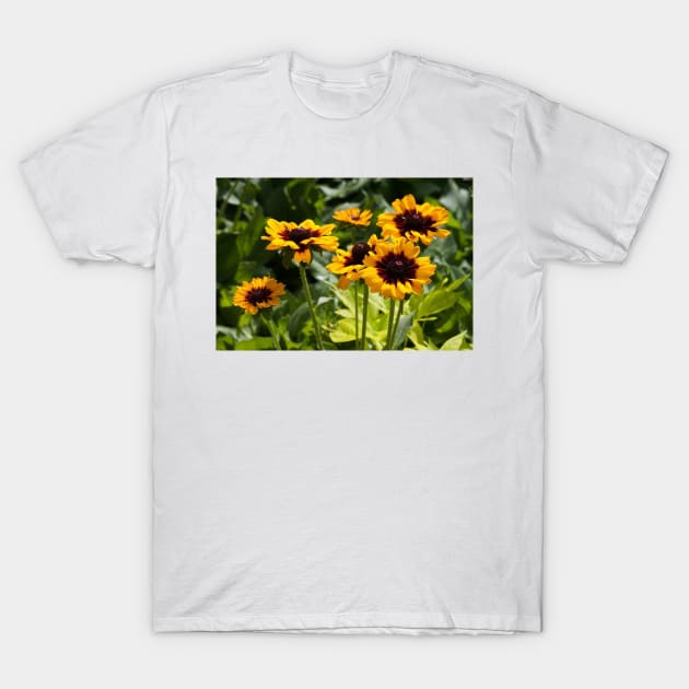 Susan T-Shirt by Jacquelie